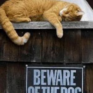 Meet your Posher, Sue